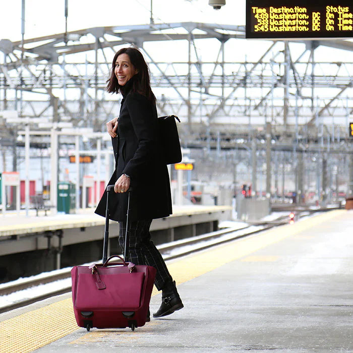 The Luxury Handbag Heyday Is Fading — And Francine Collections Has Been Ready