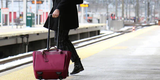 The Luxury Handbag Heyday Is Fading — And Francine Collections Has Been Ready - Francine Collections